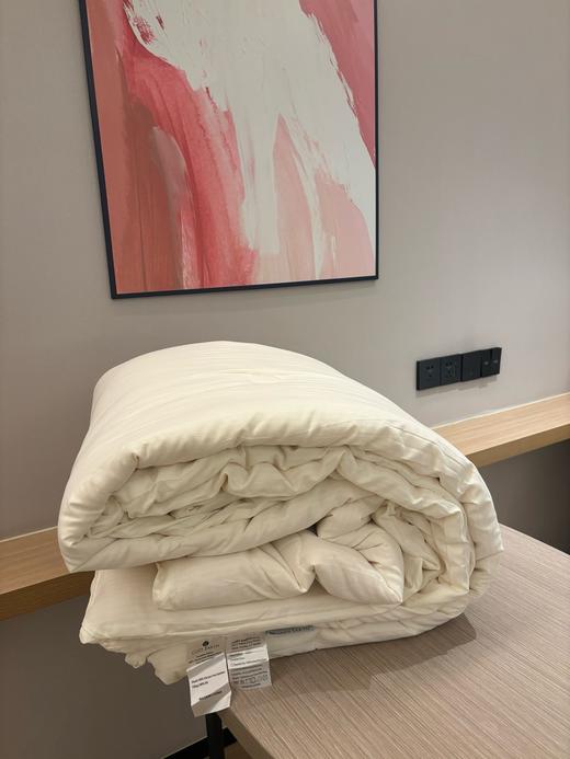 高品质  竹纤维大豆被 商品图4