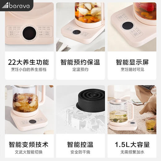 艾贝丽多功能养生壶ABL-YSH012 商品图1