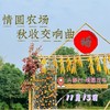 情圆农场-秋收交响曲 商品缩略图0