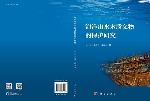 海洋出水木质文物的保护研究 商品图3