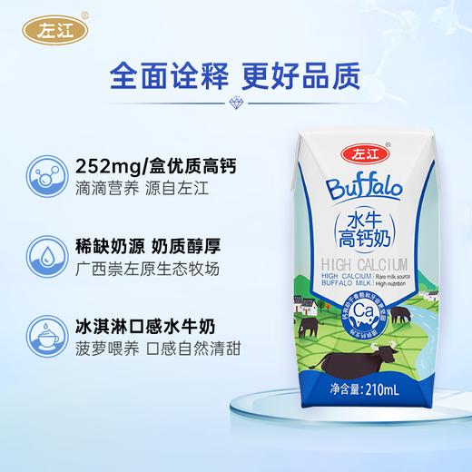 【分仓直发包邮】左江水牛高钙奶210ml*10盒/箱 商品图3