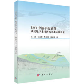 长江中游牛轭湖群湖底地下水排泄及其水环境效应