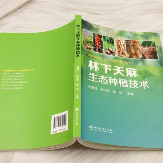林下天麻生态种植技术（道地药材林下生态种植技术丛书） &3219 商品图4