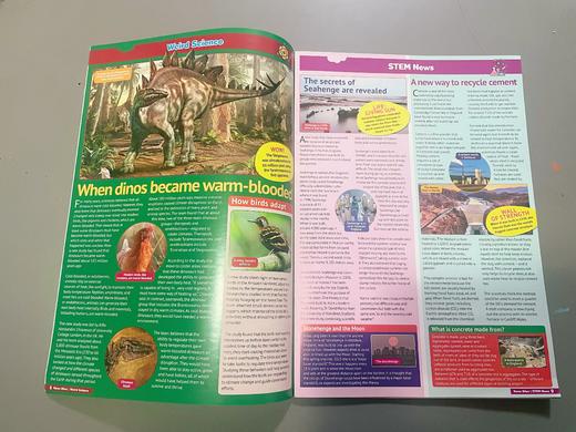 【2026杂志季】News Bites 新加坡儿童英语报杂志9-15岁 商品图7