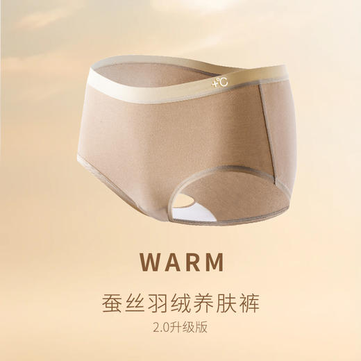 法国利蜂/LOUIS ROYER 蚕丝羽绒养肤女士内裤2.0升级版 暖感贴身 4条装 商品图3