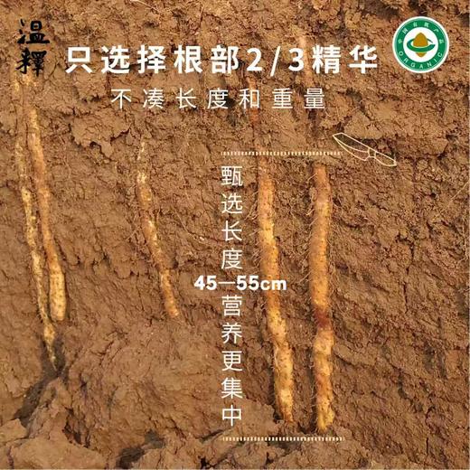 2025年 有机铁棍山药礼盒装 2000g 商品图9