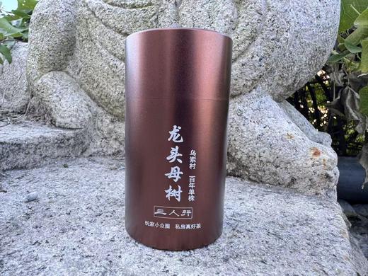 2025春  龙头种母树 百年单株  乌岽村单丛  50克 商品图0