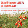 高原有机枸杞沙棘原浆 35g*12袋/盒 商品缩略图2