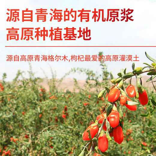 高原有机枸杞沙棘原浆 35g*12袋/盒 商品图2