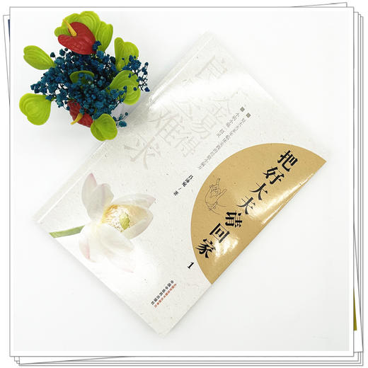 把好大夫请回家（1）吕沛宛 著 中国中医药出版社 商品图1