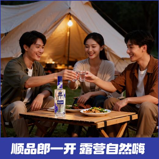 郎酒 顺品郎480蓝款 45度兼香型白酒 480ml 十二瓶整箱装 商品图3