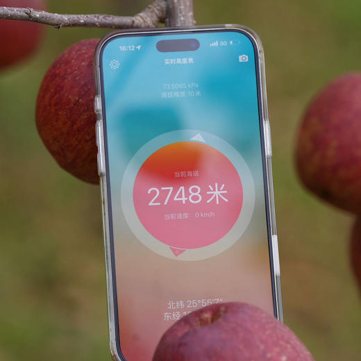 【高原太阳斑糖心苹果 】脆甜多汁 果味浓郁/生态种植不套袋不打蜡 糖心率80% 现摘现发 顺丰包邮 商品图5