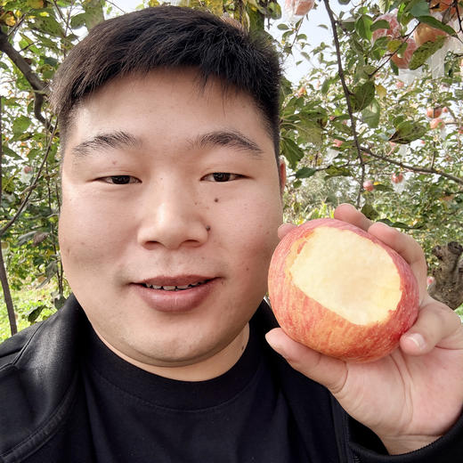 西岳甜心红富士，酥脆爽口，一口爆汁，源自华山脚下，自然生长有几率出现冰糖心，果香也十分浓郁哦~ 商品图1