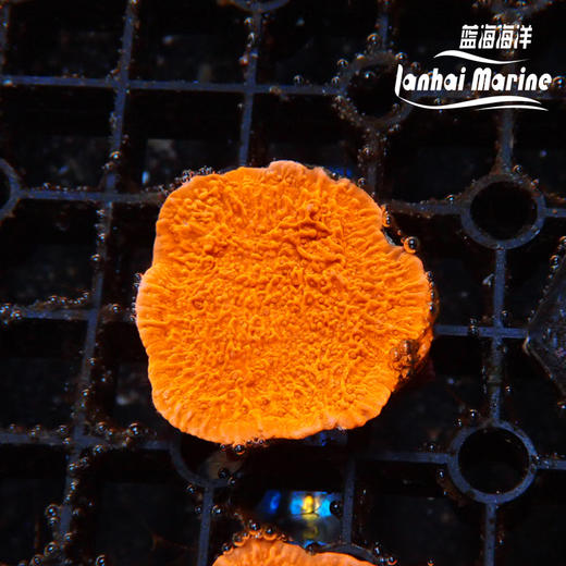 人工红石瓦 商品图0