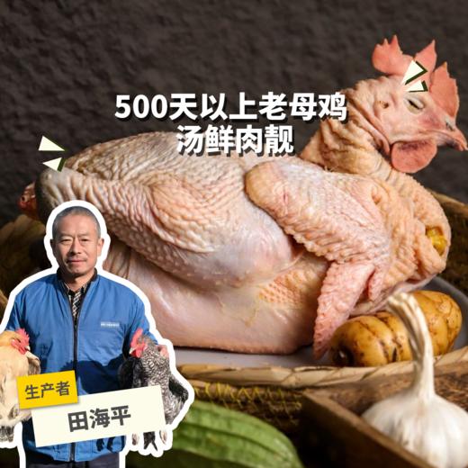 生态芦花鸡老母鸡/老公鸡 | 合作生产 *Eco-chicken | Partner Production 商品图0