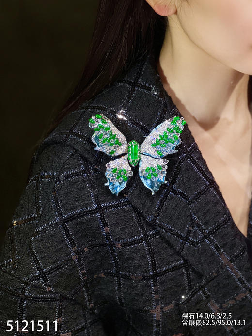 蝴蝶胸针【5121511】具体价格微信咨询 商品图4