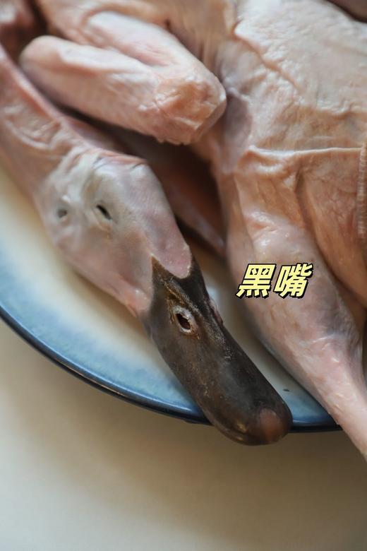 【风味人间】一啊鸭 双黑土鸭 生态慢养180天老鸭 不柴不腥不腻 顺丰冷链发货 商品图1