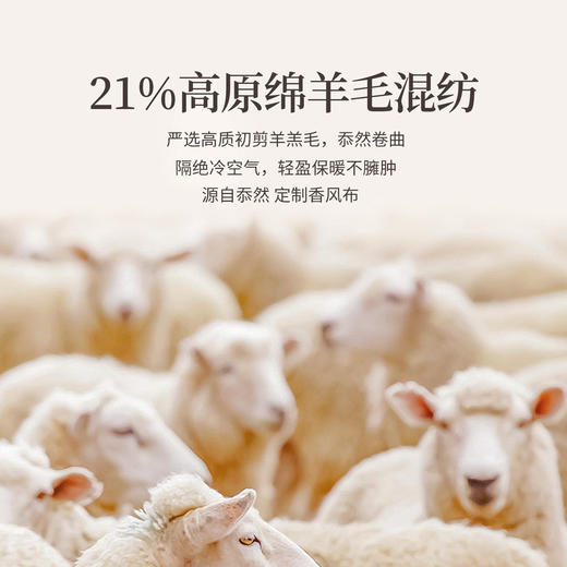 【年货节】熙世界「财阀千金小香风裙」黑色羊毛呢背心连衣裙女2025秋冬新款 商品图4