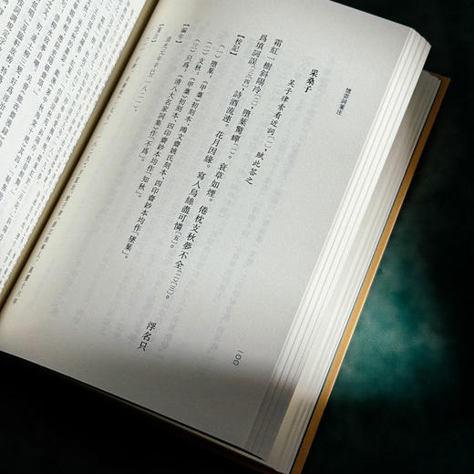 忆云词笺注 清代名家词选刊 精装 项鸿祚词集深度整理笺注本 商品图11