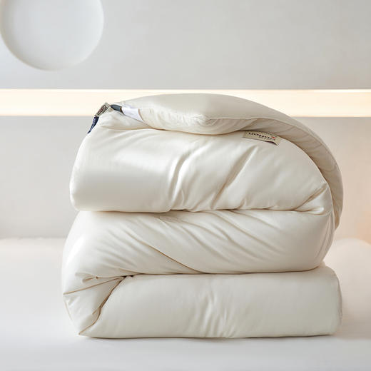 【里外全棉】轻奢高品质秋冬80支无染长绒棉新疆棉花被被子被芯 商品图0