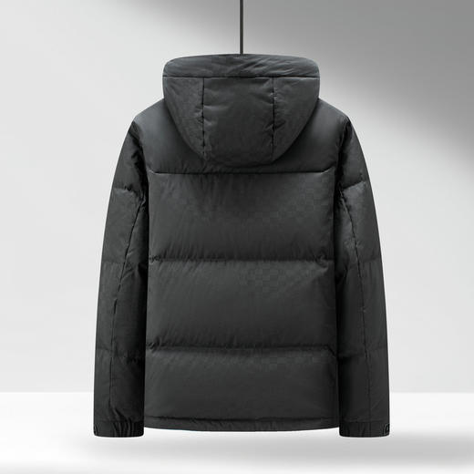 【门店新品&白鸭绒】圣得西男羽绒服25冬季时尚提花连帽羽绒外套 商品图14