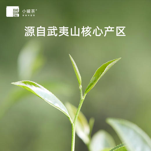 小罐茶 茶叶礼盒 金罐10罐特级乌龙茶大红袍非遗传承人王顺明大师监制 4g*10罐 商品图3