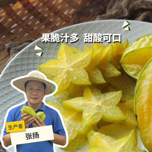生态杨桃 | 合作生产* Eco-carambola | Coproduction 商品图0