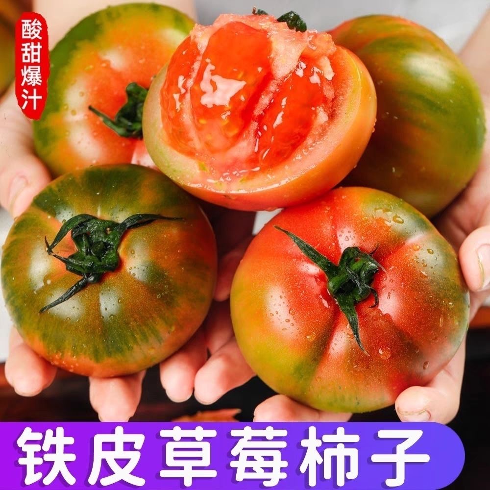 【酸甜多汁❗️丹东铁皮草莓柿子】农家新鲜采摘，回味小时候自家菜园的柿子味道，富含多种营养！正宗盐碱地绿腚碱地油柿子西红柿水果番茄