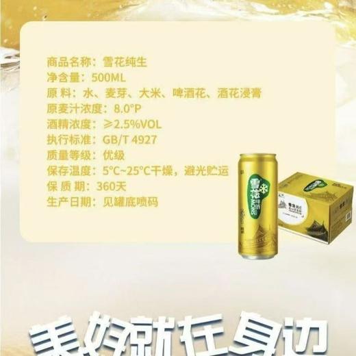 雪花啤酒纯生8度听装500ml拉格啤酒酿造黄啤酒 商品图2
