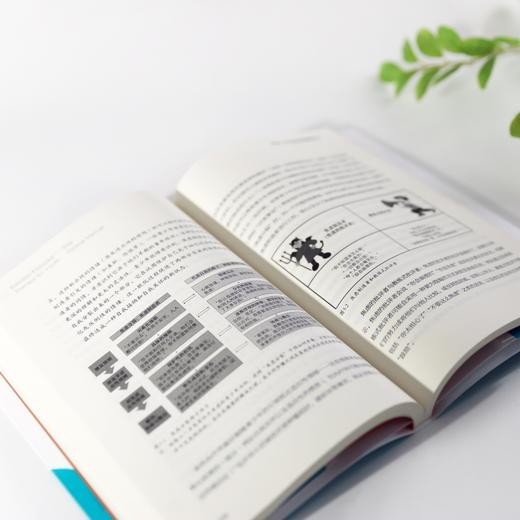 青少年情绪聚焦疗法 : 临床工作手册 商品图2