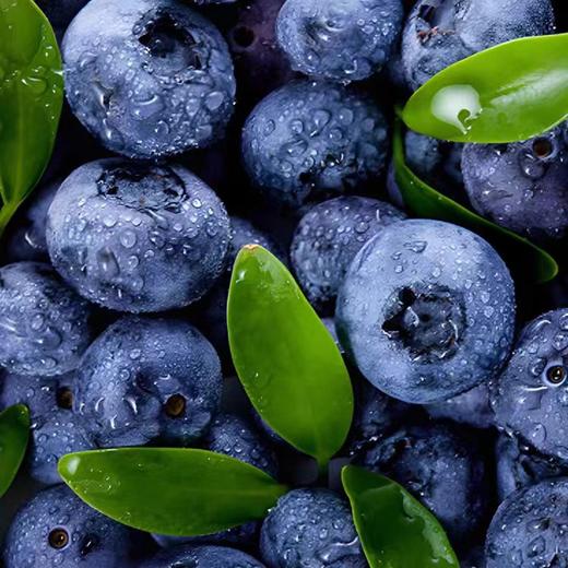 蓝莓 商品图0
