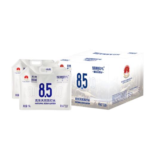 顺丰包邮【自营】绿洲时光克东天然苏打水 5L*2袋/箱 NM 商品图6