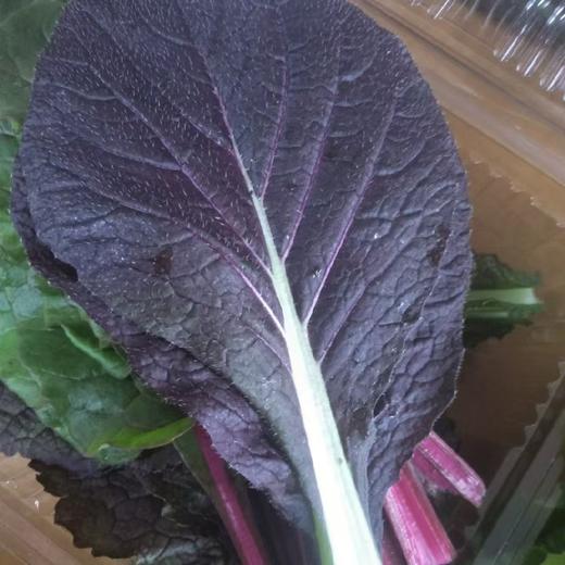 烤肉蔬菜组合200g 고기용쌈채소모둠200g 商品图3