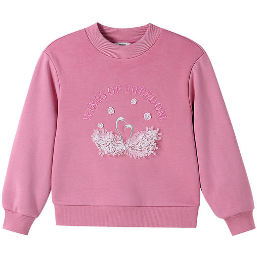 【实体店同款】女童中领卫衣冬季新款安奈儿童装AG541396 商品图7