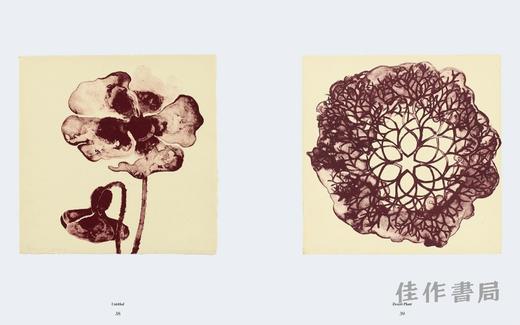 Ruth Asawa: The Tamarind Prints / 露丝?阿萨瓦：罗望子版画 商品图3