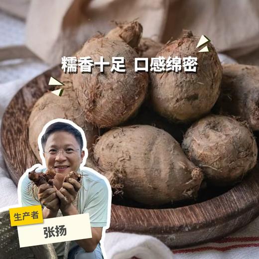 生态云南小芋头（预售，预计11月20日起开始发货） | 合作生产* Ecological  taro  | Partner Production 商品图0