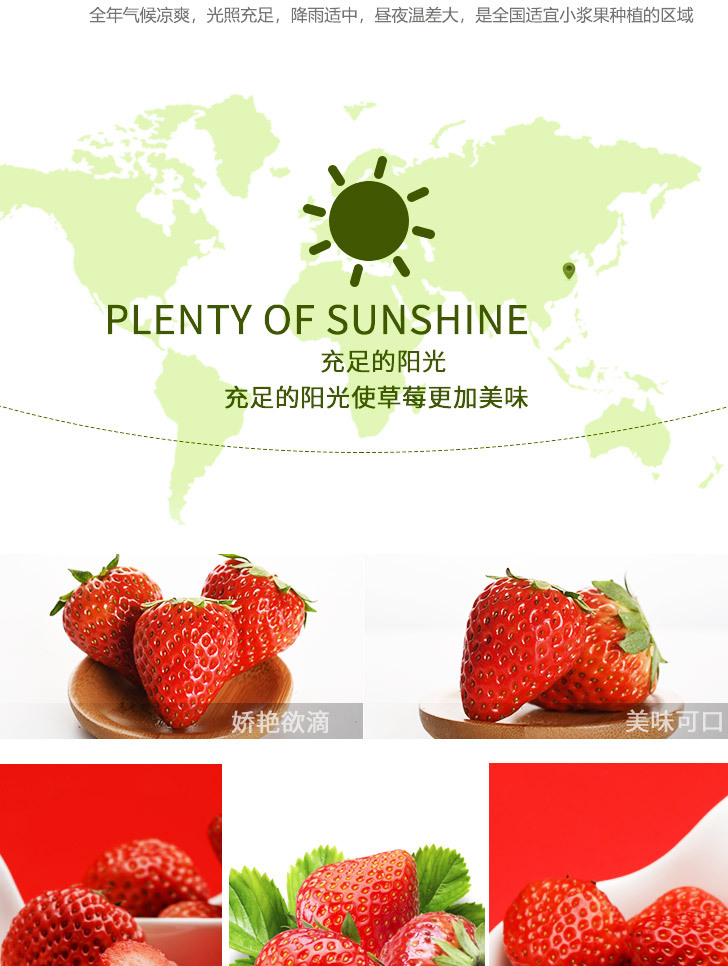 草莓详图_03.jpg