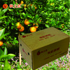 秋之红有机脐橙  有机种植风味浓橙香足当季新鲜水果【顺丰/京东快递】 商品缩略图3