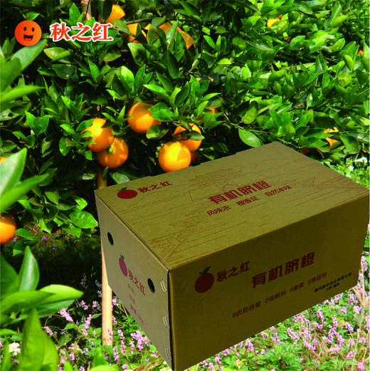 秋之红有机脐橙  有机种植风味浓橙香足当季新鲜水果【顺丰/京东快递】 商品图3