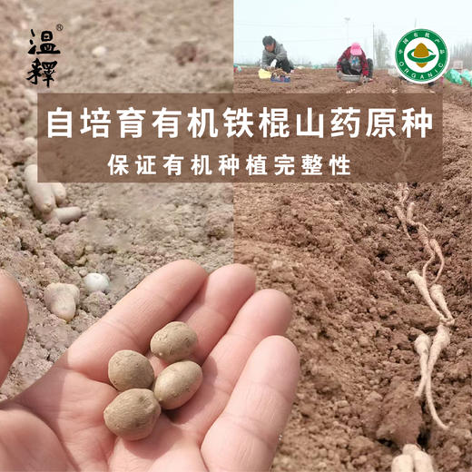 2025年 有机铁棍山药礼盒装 2000g 商品图4