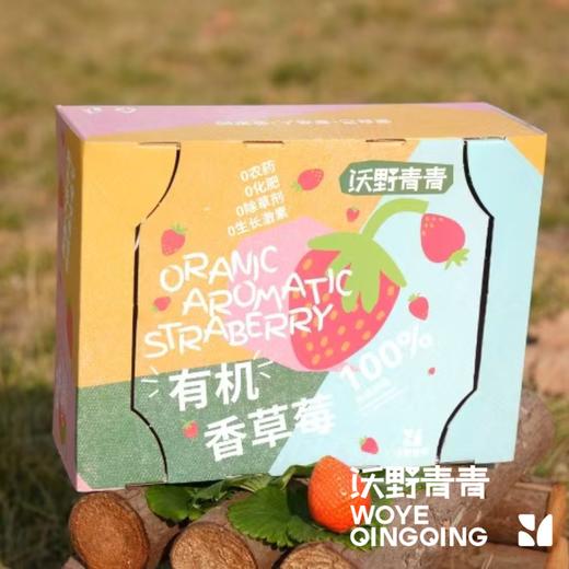 【预售】沃野青青香草莓 有机草莓 果肉紧实 口感香甜 果香四溢 唇齿留香 商品图12