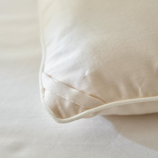 【里外全棉】轻奢高品质秋冬80支无染长绒棉新疆棉花被被子被芯 商品图10