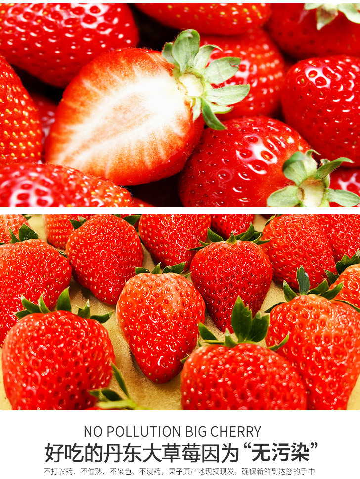 草莓详图_06.jpg