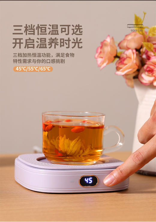 大宇（DAWOO）恒温暖杯垫DY-BD25 商品图0