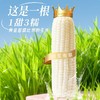 田里有草白糯玉米 商品缩略图0