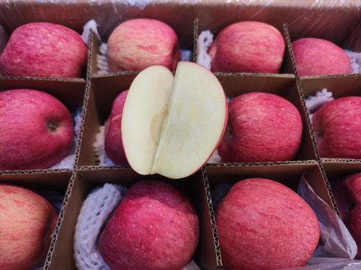 【团购特惠】洛川苹果，浓郁的苹果香，一口嘎嘣脆，汁水又多脆又甜，皮薄、核小食之有味~ 商品图1