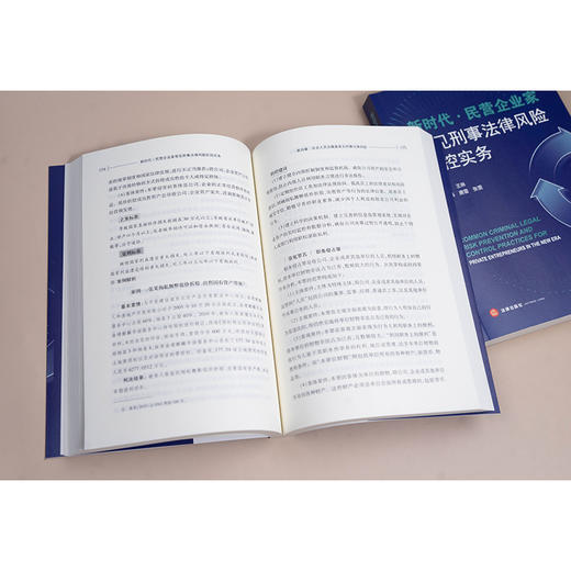 新时代·民营企业家常见刑事法律风险防控实务 王琳主编 唐雷 张雯副主编 法律出版社 商品图2