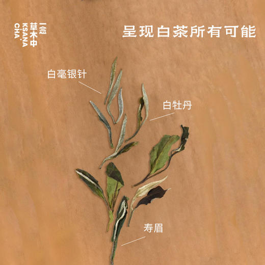 白茶大赏4g*15/盒 | 十五口味 | 白茶类（仅带喝品鉴） 商品图1
