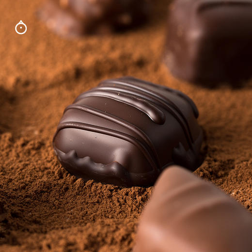 企鹅市集|法国Michel Cluizel N°系列 牛奶巧克力什锦/咖啡杯巧克力礼盒 多规格可选 送礼甄选 商品图8