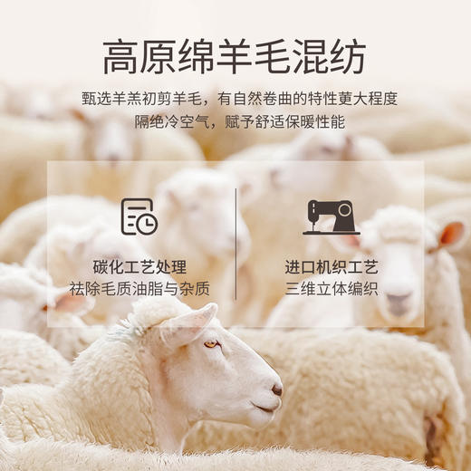 【11/19新品】熙世界轻民族风手工绣花马甲女2025秋冬新款外穿羊毛背心无袖上衣 商品图3